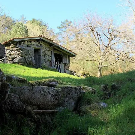 Willa Bungalow Da Nina *